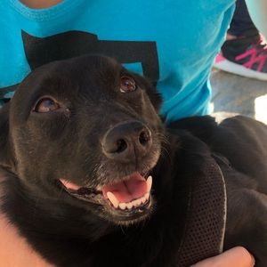 Meet your Posher, Lilianna